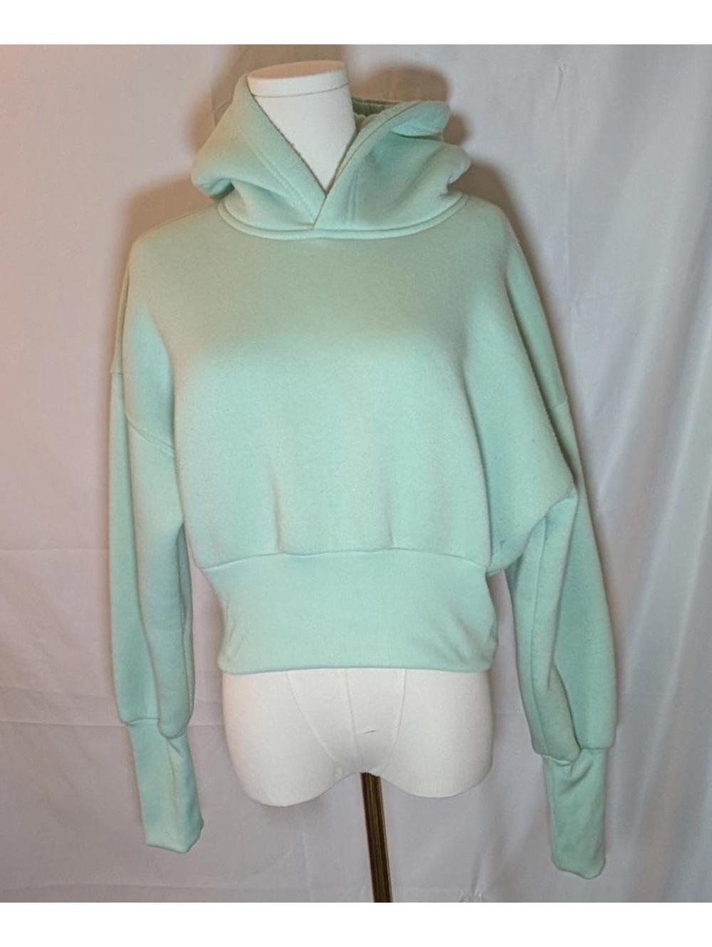 Forever 21 Light Blue Fleece Lined Cropped Hoodie Sweatshirt